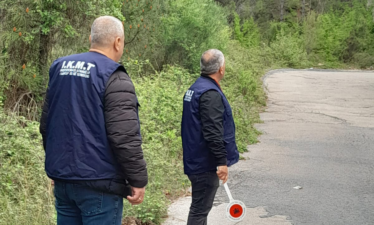 DRIKMT Elbasan dhe Lezhë, inspektime për transport të paligjshëm të lëndës drusore