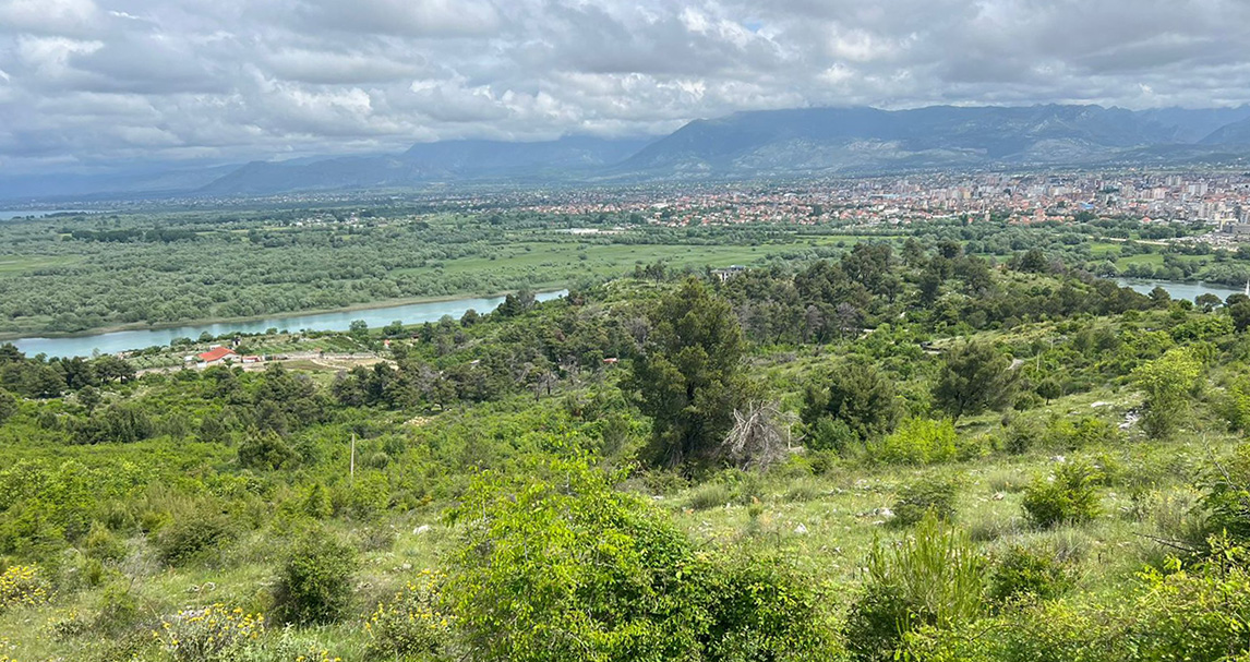 DRIKMT Shkodër kontroll në malin Tarabosh për prerje të lëndës drusore